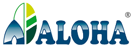 Aloha Gujarat